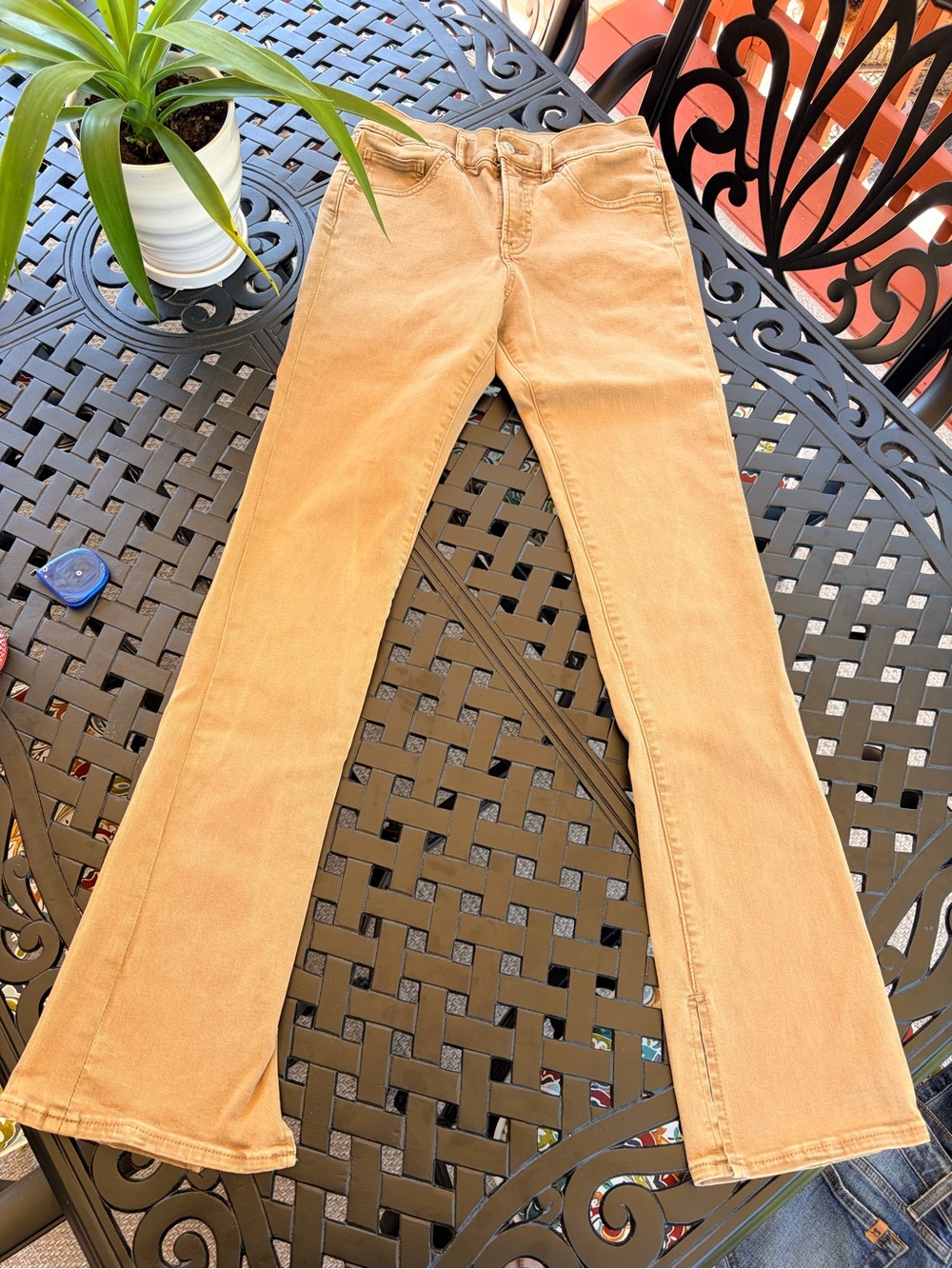 Express Camel Colored Skyscraper Jeans - Classic Bootcut